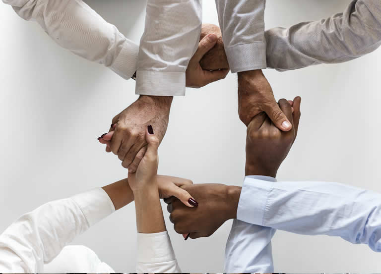 b13 - GSG Consultores