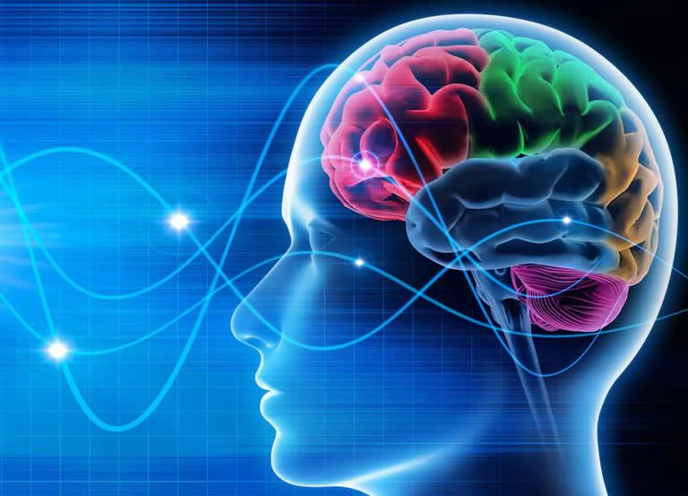 d2 - GSG Consultores