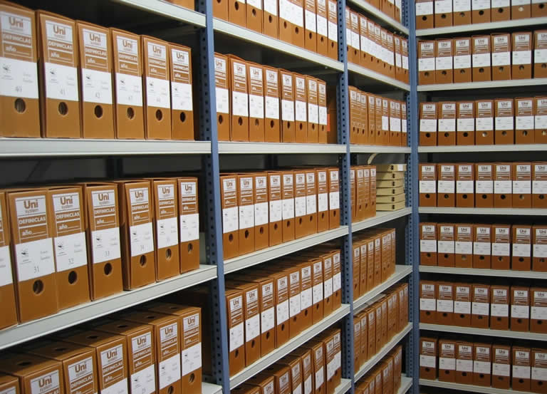 g2 - GSG Consultores